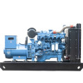 200 kW Diesel Generator Factory Preis Verkauf 250kva Diesel Generator Sets Custom Easy Operation mit USA Brand Engine